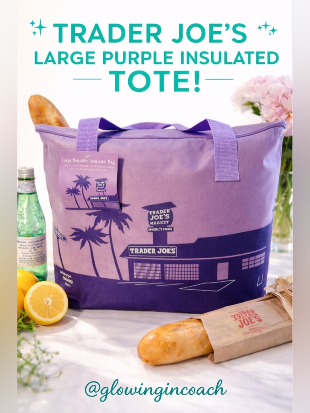 Trader Joe’s Lavender Insulated 8 Gallon Bag